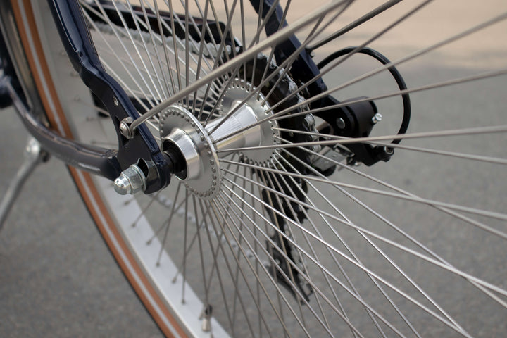 Beach Cruiser - Sinatra Low