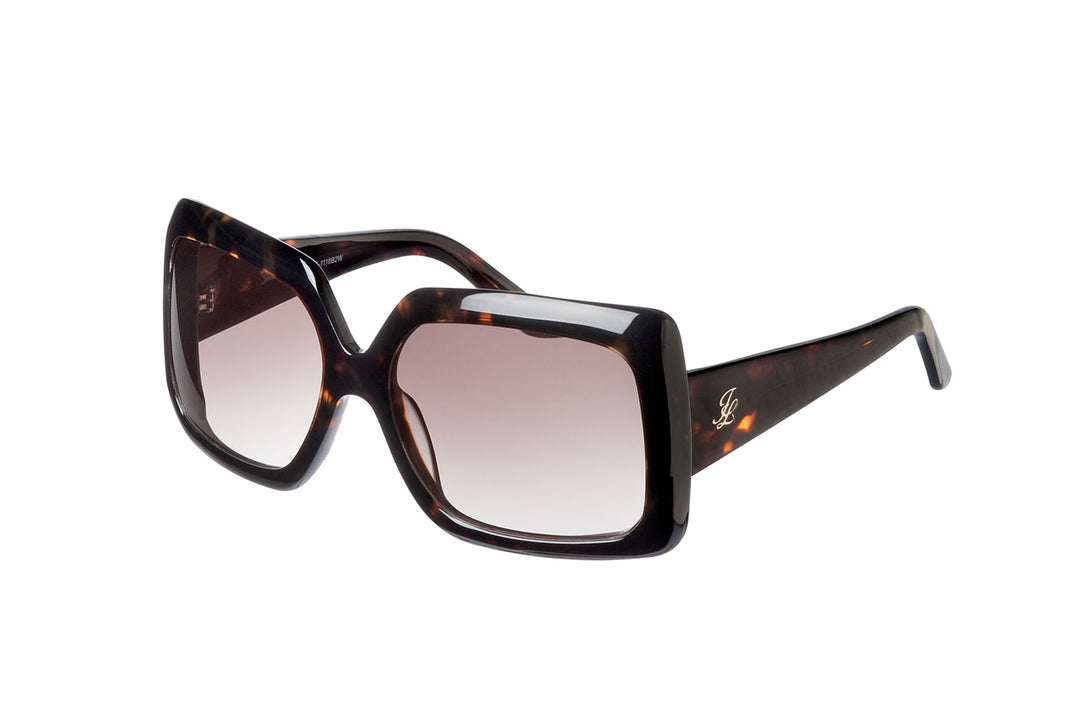WANDA | tortoise