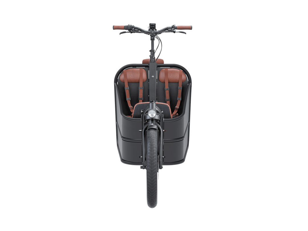 Twin Cruiser - Matte Dutch Delight